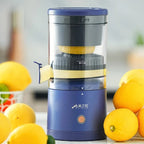 VITAMASTER PRO: Extractor de Jugos de Presión en Frío